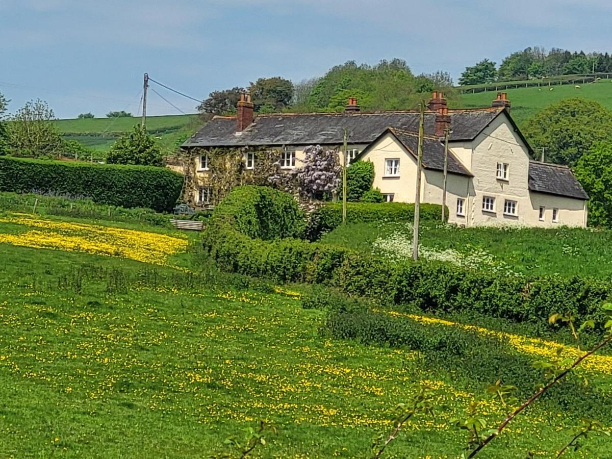 Beautiful Devon * Exeter