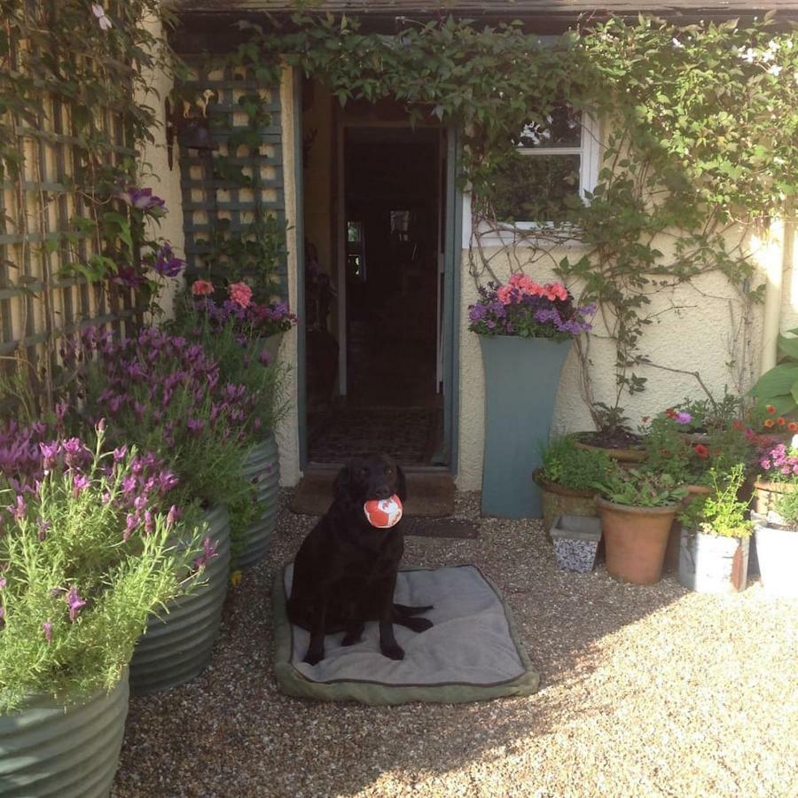 Apartment Beautiful Devon Exeter